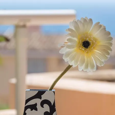 Malibu Mancion 1 아파트 *